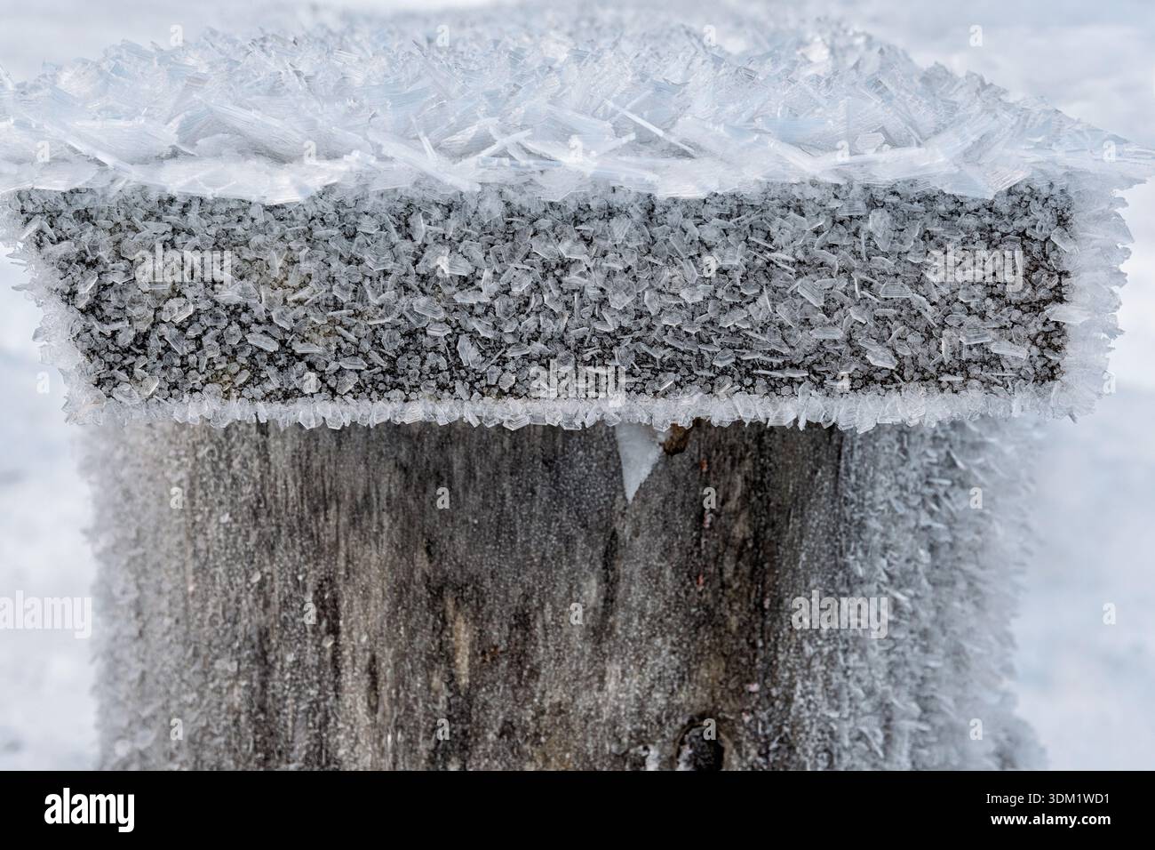 Intricati cristalli di ghiaccio ricoprono una superficie in legno, creando una splendida scena invernale piena di bellezza ghiacciata e serenità tranquilla. Foto Stock