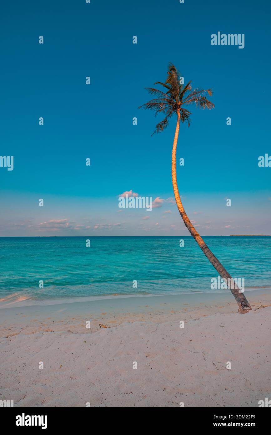 Incredibile spiaggia tropicale singola palma pendente oceano blu turchese sabbia bianca verticale idilliaco paradiso costiero tranquillo sfondo solare minimalista Foto Stock