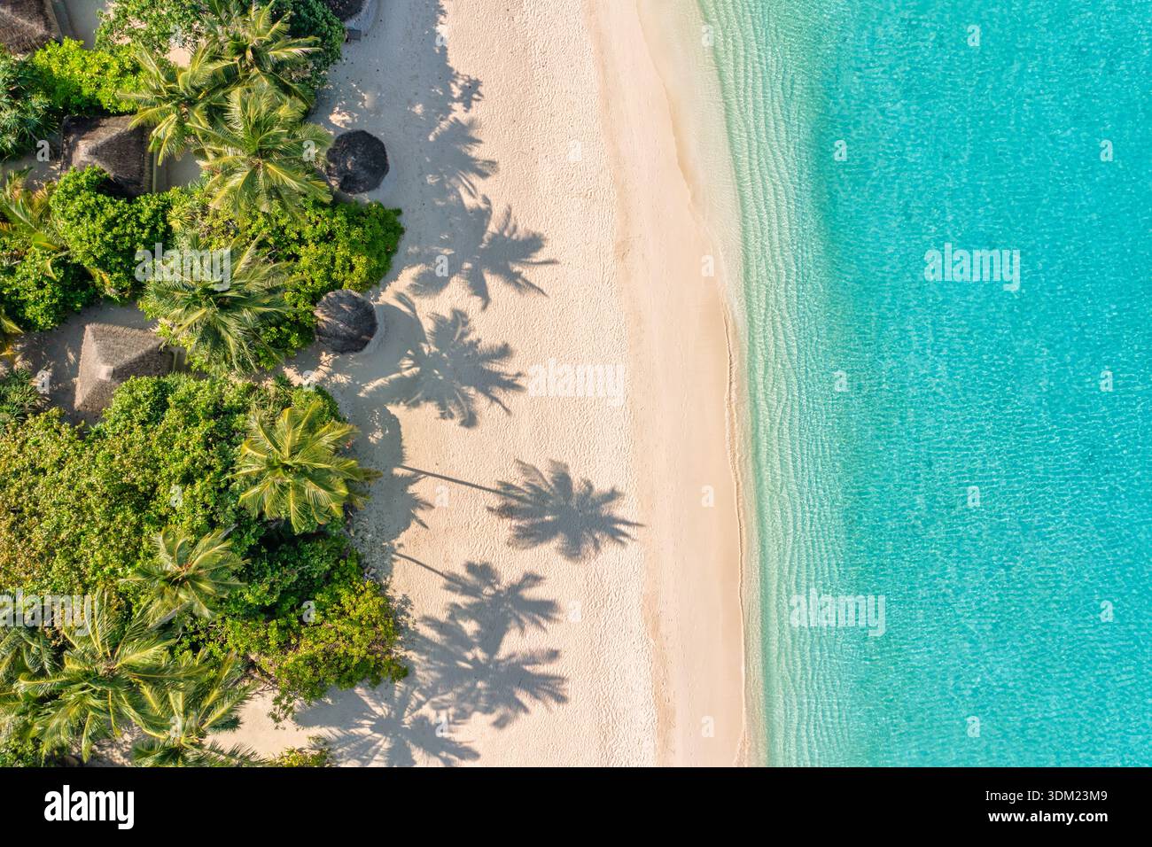 Immersiva isola di palme aeree delle Maldive vista dall'alto paradiso mozzafiato destinazione di viaggio di lusso costiera turchese viaggio a terra sull'oceano Foto Stock