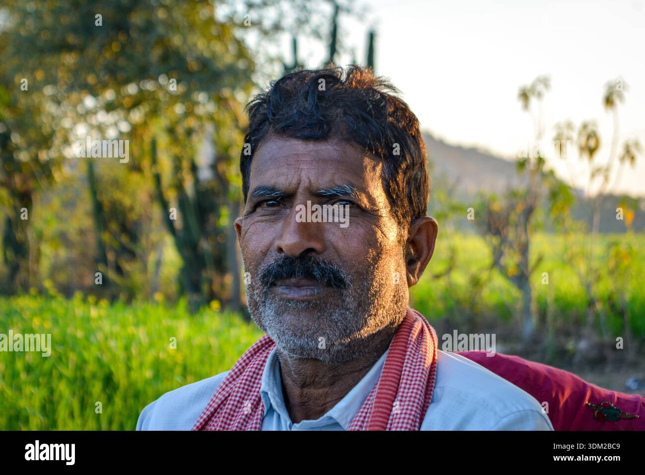 Ritratto dell'agricoltore indiano nel villaggio rurale Foto Stock