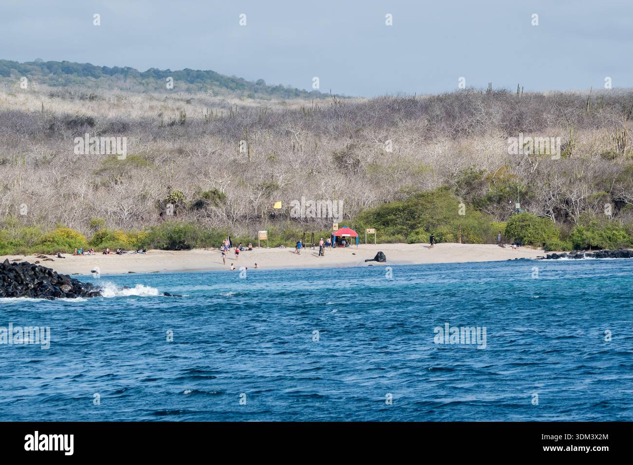 Spiaggia molto turistica, Spiaggia di Punta Carola, Puerto Baquerizo Moreno, Isola di San Cristobal, Isole Galapagos Foto Stock