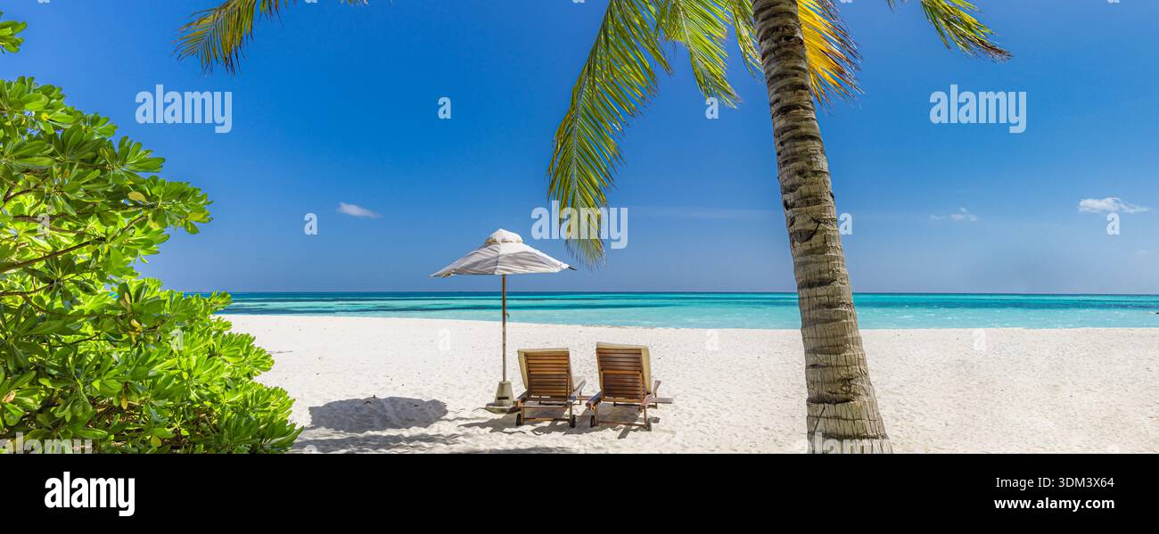 Vista ad angolo basso delle palme contro il cielo azzurro cristallino dell'isola tropicale delle Maldive sfondo delle vacanze estive benessere e natura Foto Stock