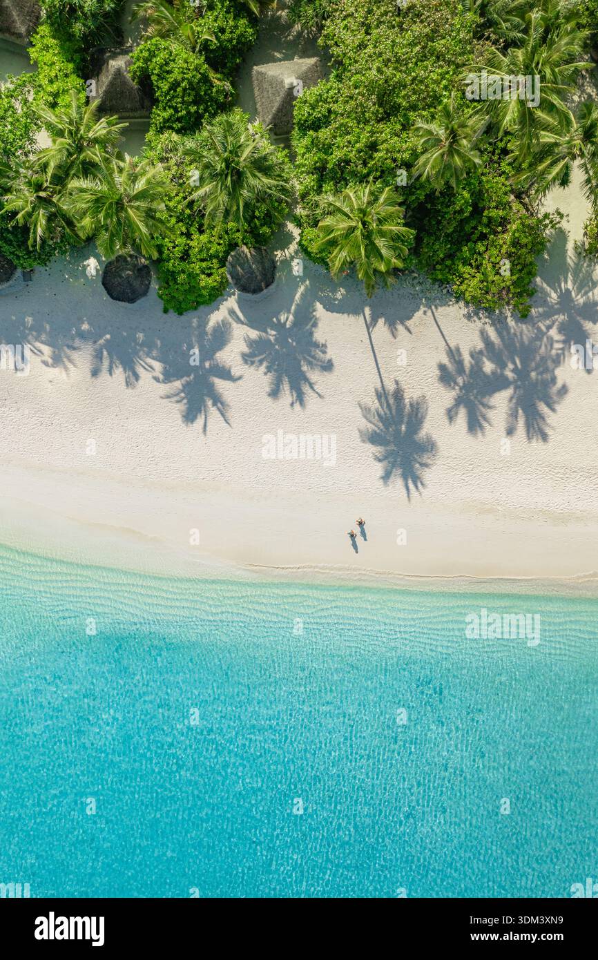 Tranquilla vista aerea dall'alto, palme, ombra, spiaggia soleggiata, oceano, laguna, spiaggia tropicale, acqua turchese, paesaggio naturale Foto Stock