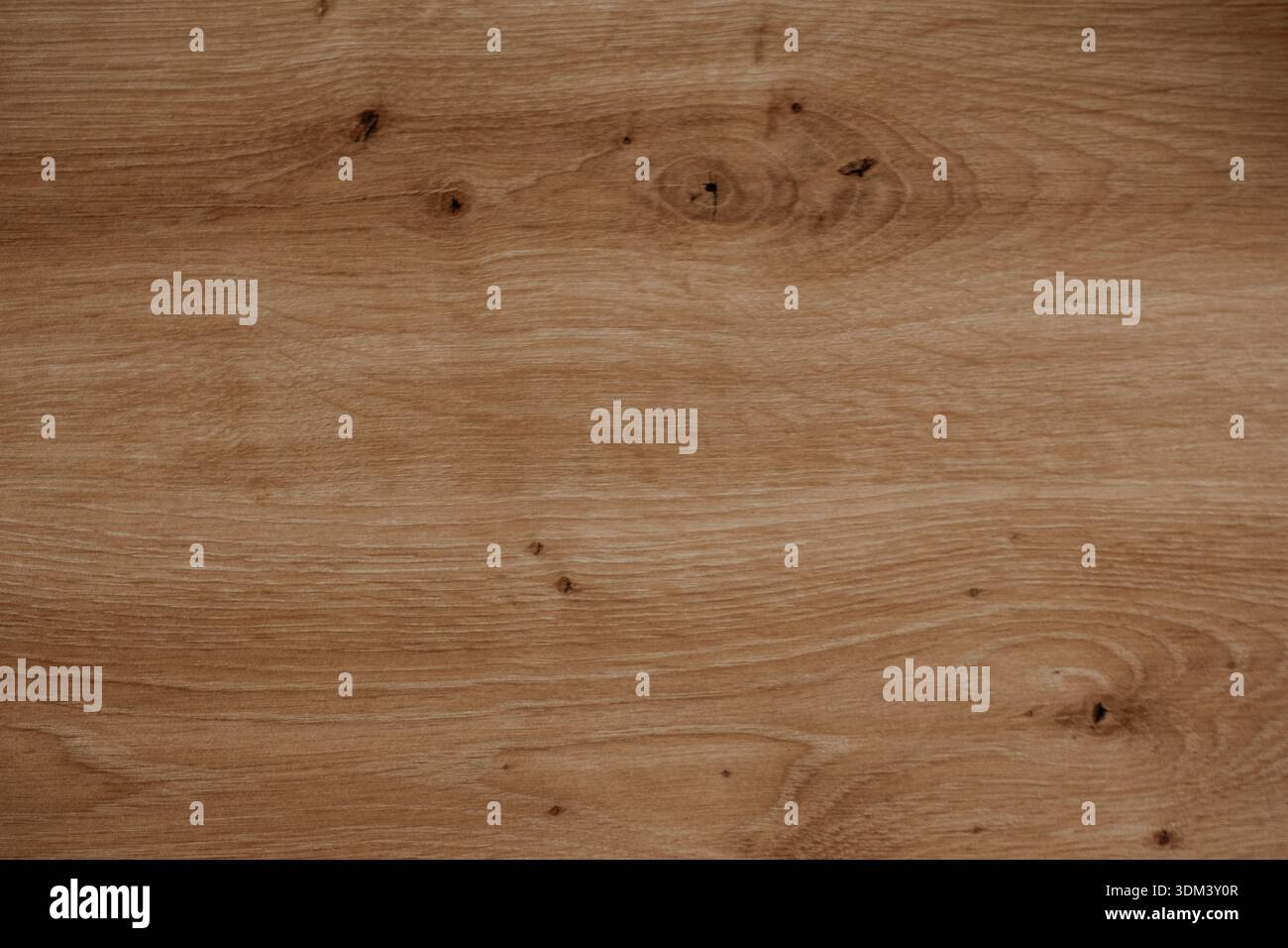 Vista ravvicinata della struttura in legno che mostra motivi di venatura naturali, dettagli della superficie e struttura del materiale organico in una composizione semplice. Foto Stock
