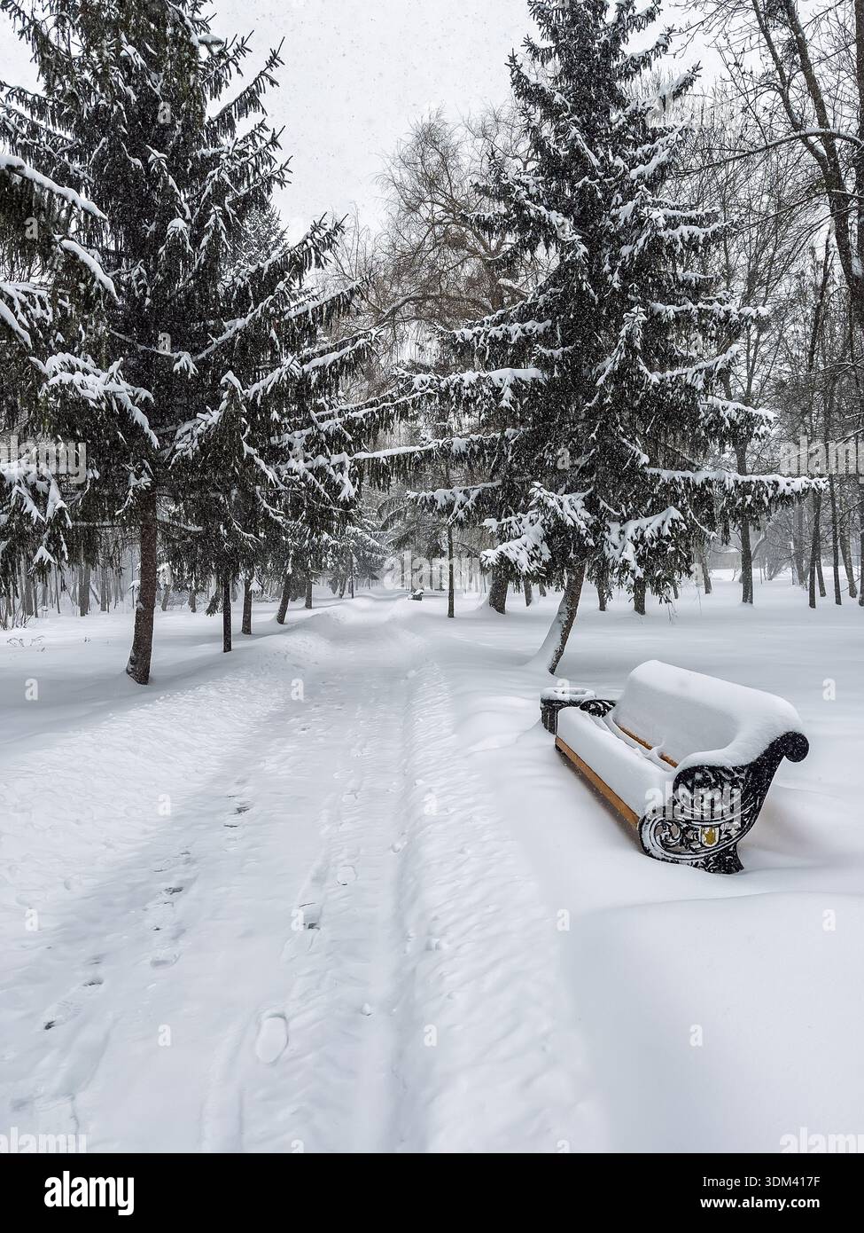 Vista verticale di un sentiero nella foresta innevata circondato da abeti ricoperti di gelo e da una panchina vintage del parco dopo una massiccia bufera, catturando il freddo Foto Stock