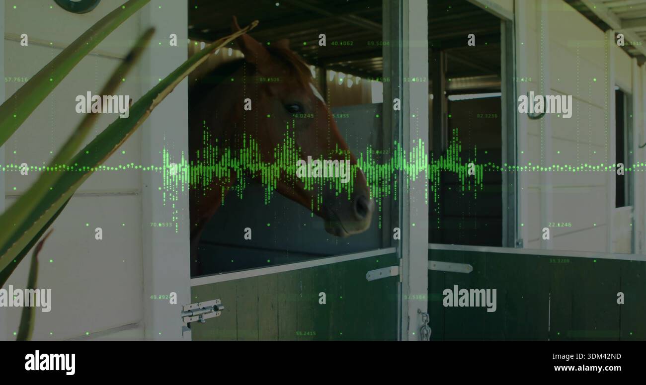 Testa di cavallo di castagno che si getta sullo sportello di stallo verde scuro a livello stabile, con sovrapposizione della forma d'onda Foto Stock