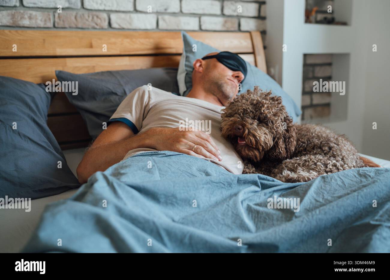 Cane Maltipoo a letto con il proprietario che indossa una maschera nera per gli occhi durante il riposo diurno su sfondo non focalizzato. Animali domestici divertenti e stile di vita sano immagine concetto Foto Stock
