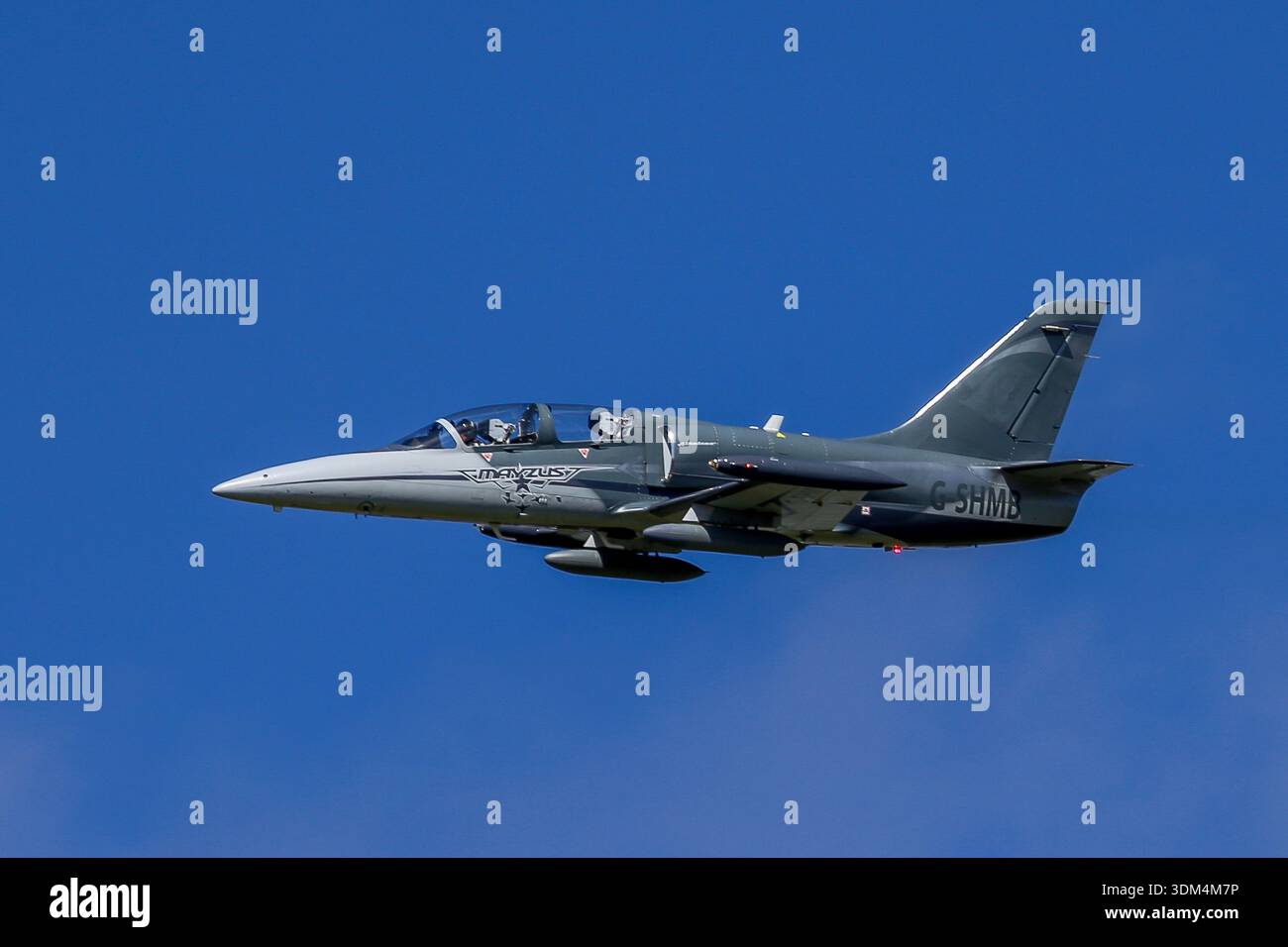 Aero L-39 Albatros addestratore di jet in volo contro un cielo blu profondo durante una mostra aerea, che mostra la classica aviazione militare dell'Europa orientale. Foto Stock