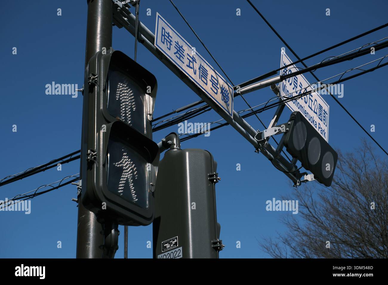 Semafori pedonali giapponesi e cartelli stradali vicino a un parco pubblico di Yokohama Foto Stock