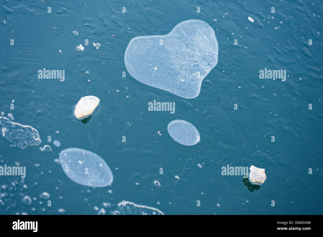 Una sottile crosta di ghiaccio copre l'acqua ferma e una bolla d'aria a forma di cuore viene congelata all'interno, creando un delicato motivo naturale che sembra divertente e romantico Foto Stock