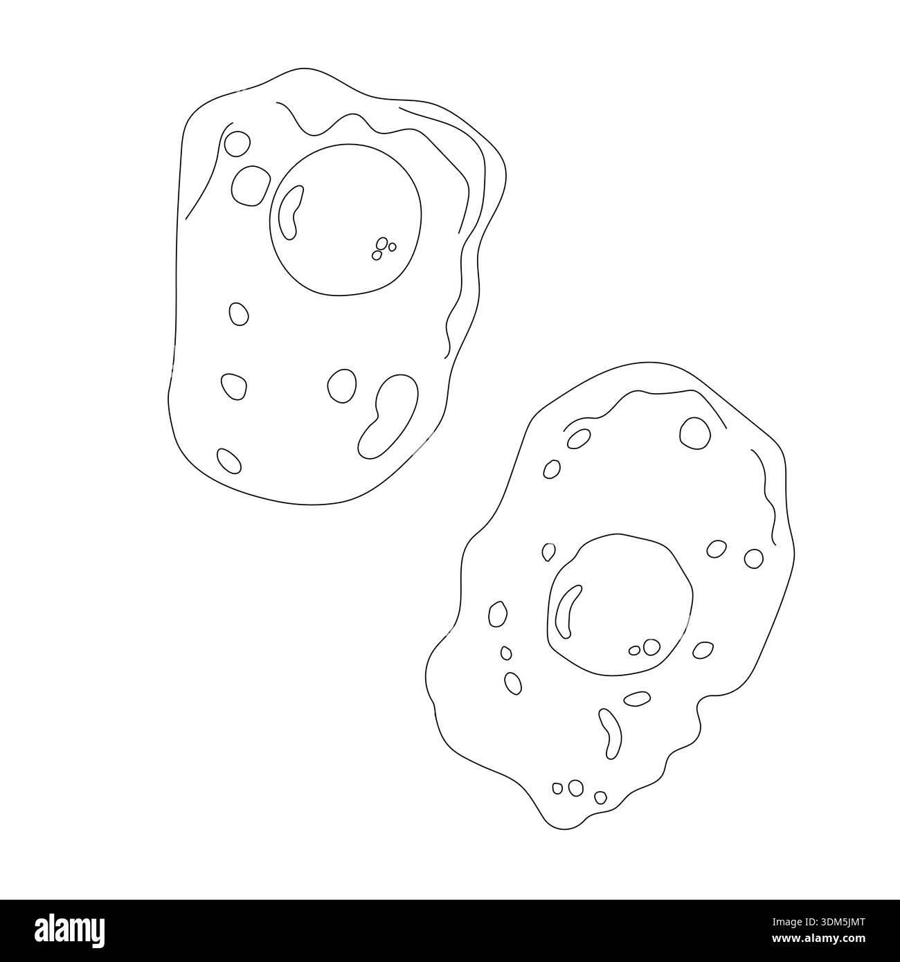 Uova fritte fatte con due uova. Illustrazione vettoriale isolata su sfondo bianco. Illustrazione Vettoriale