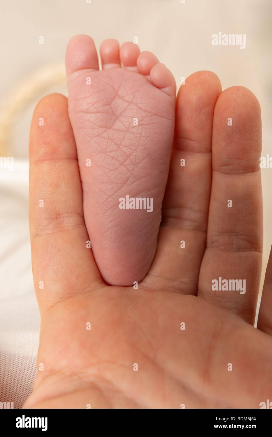 Primo piano minimo dei piedi del neonato in una mano di un adulto. Simbolo di protezione, cura, amore per la famiglia e nuova vita fragile in calde tonalità naturali Foto Stock