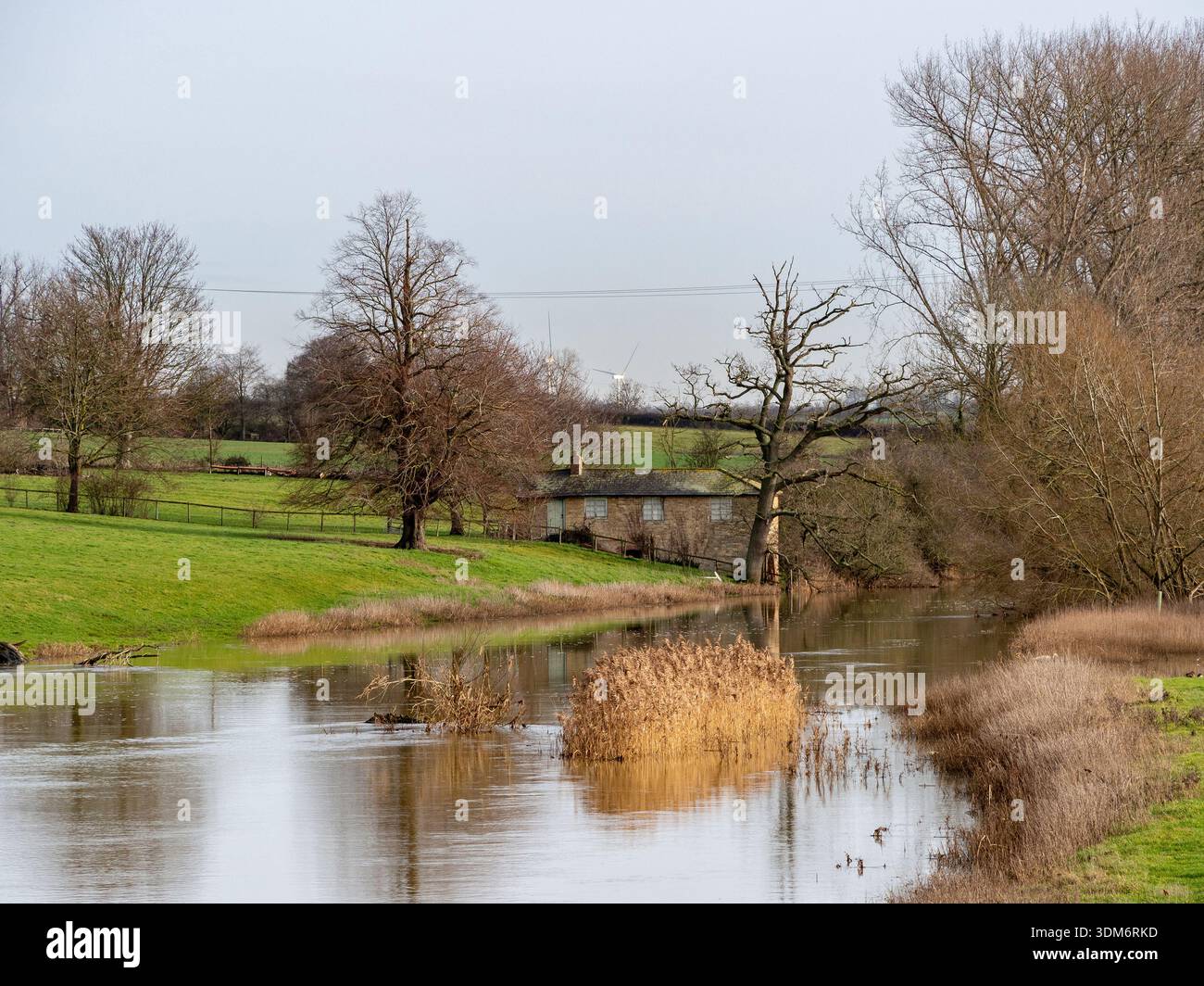 Vista sul fiume Great Ouse in inverno, Tyringham, Buckinghamshire, Regno Unito Foto Stock