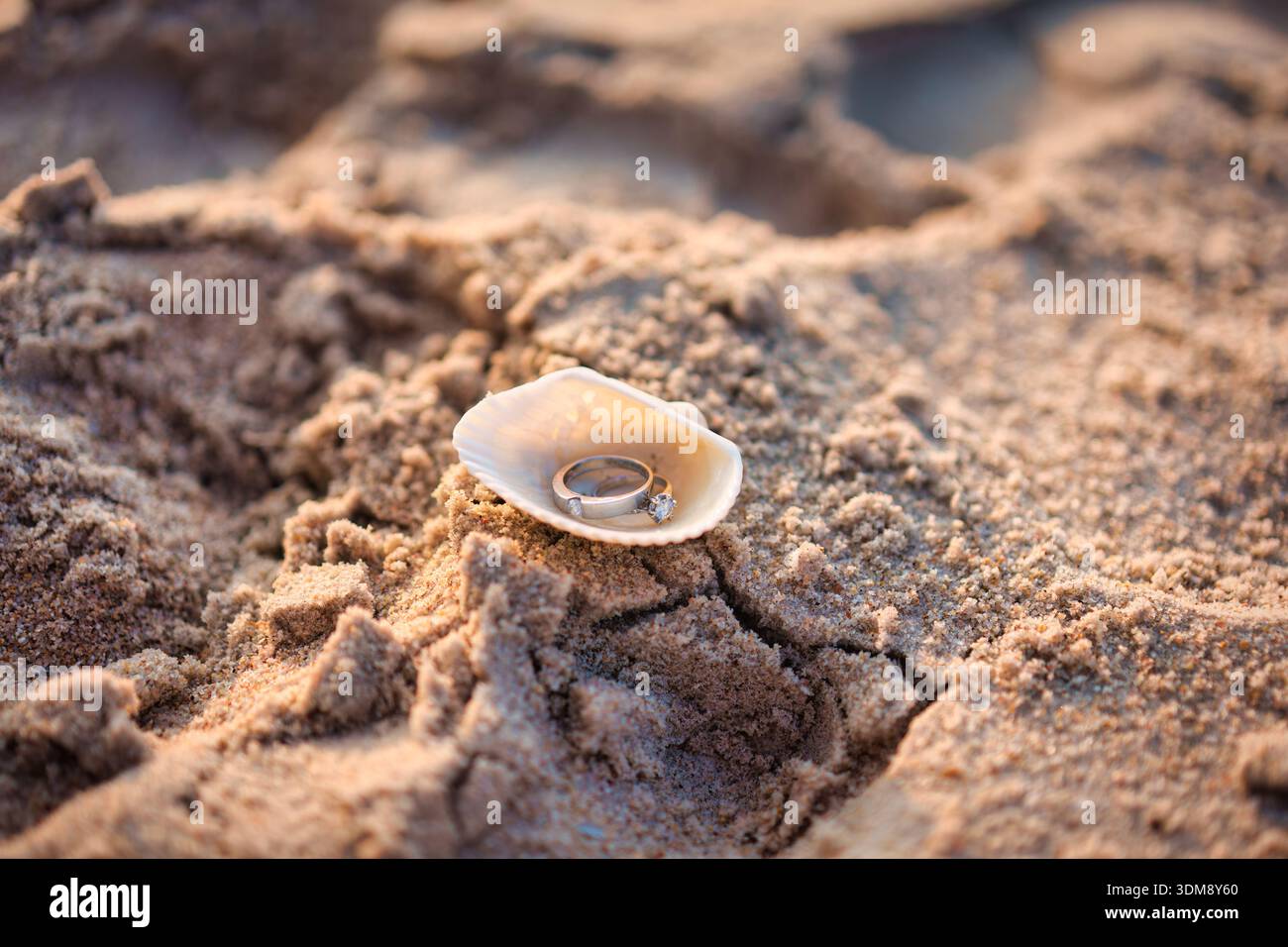 Composizione romantica di anelli di diamanti collocati all'interno della conchiglia sulla spiaggia di sabbia soffice, che rappresenta l'amore, la proposta di matrimonio e l'intima mamma sul mare Foto Stock