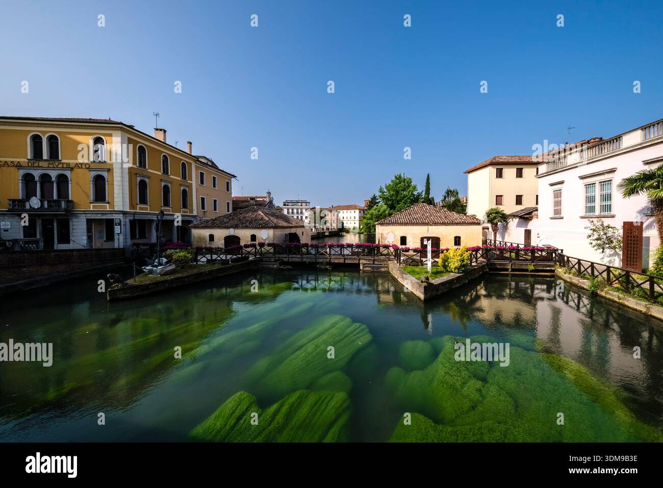 Acque limpide del Canal Lemene con St. Andrew's Mills. Vivaci e verdi piante acquatiche in primo piano e edifici storici in lontananza. Foto Stock