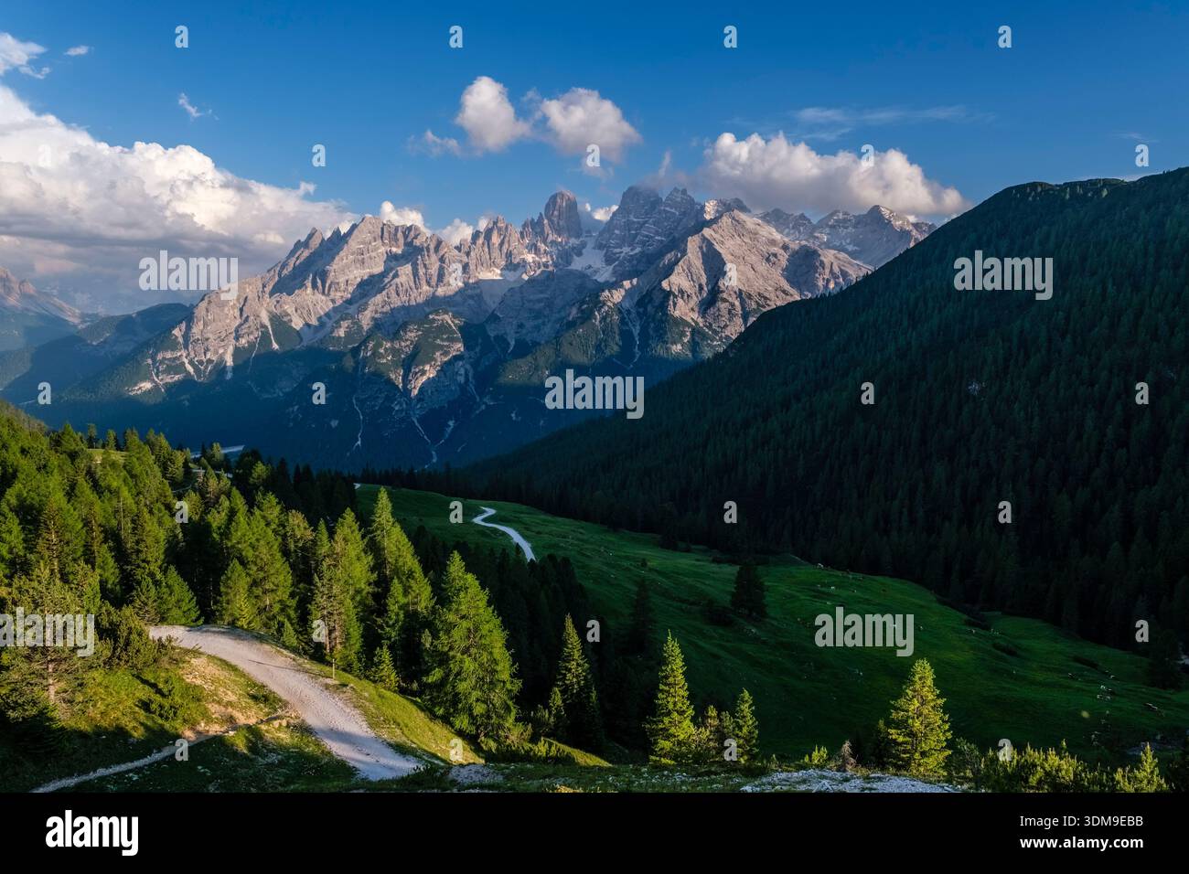 Tortuosa strada di ghiaia attraverso verdi prati alpini. Massicce formazioni rocciose del Monte cristallo in lontananza sotto un cielo blu con morbide nuvole. Foto Stock