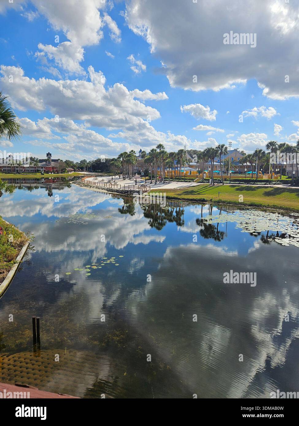 SOLO PER USO EDITORIALE. LAKE BUENA VISTA, FLORIDA - 23 GENNAIO 2026: Un ampio angolo di vista panoramica della laguna al Disney's Caribbean Beach Resort, che mostra palme tropicali e spettacolari riflessi nuvolosi sull'acqua. - Immagine stock catturata con smartphone