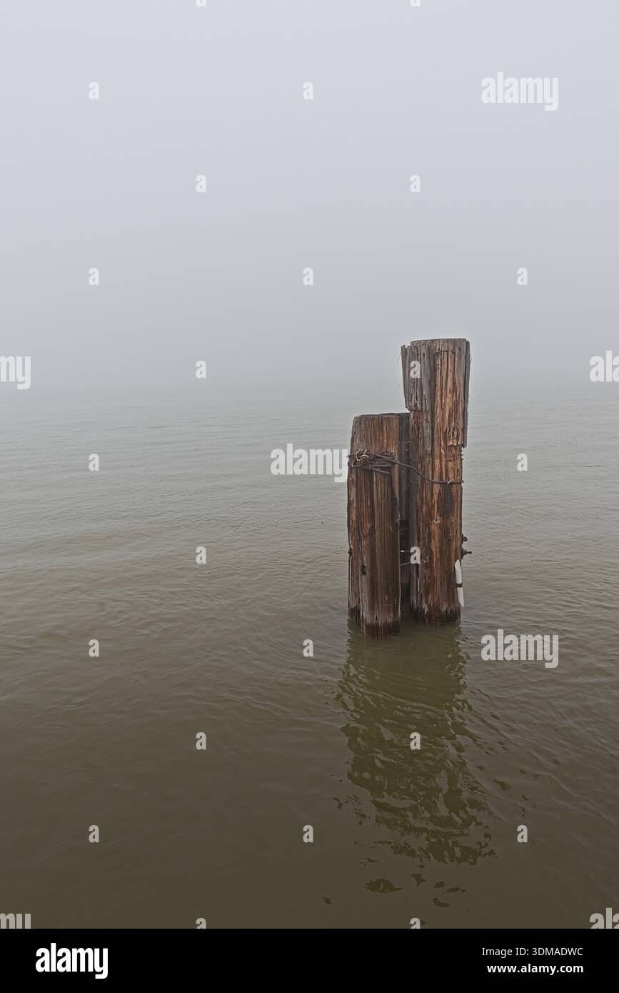 Tre pali di legno intemprati si stagliano in acque calme e nebbiose, creando una scena solitaria. I pali sono legati insieme con una fascia metallica e parzialmente sub Foto Stock