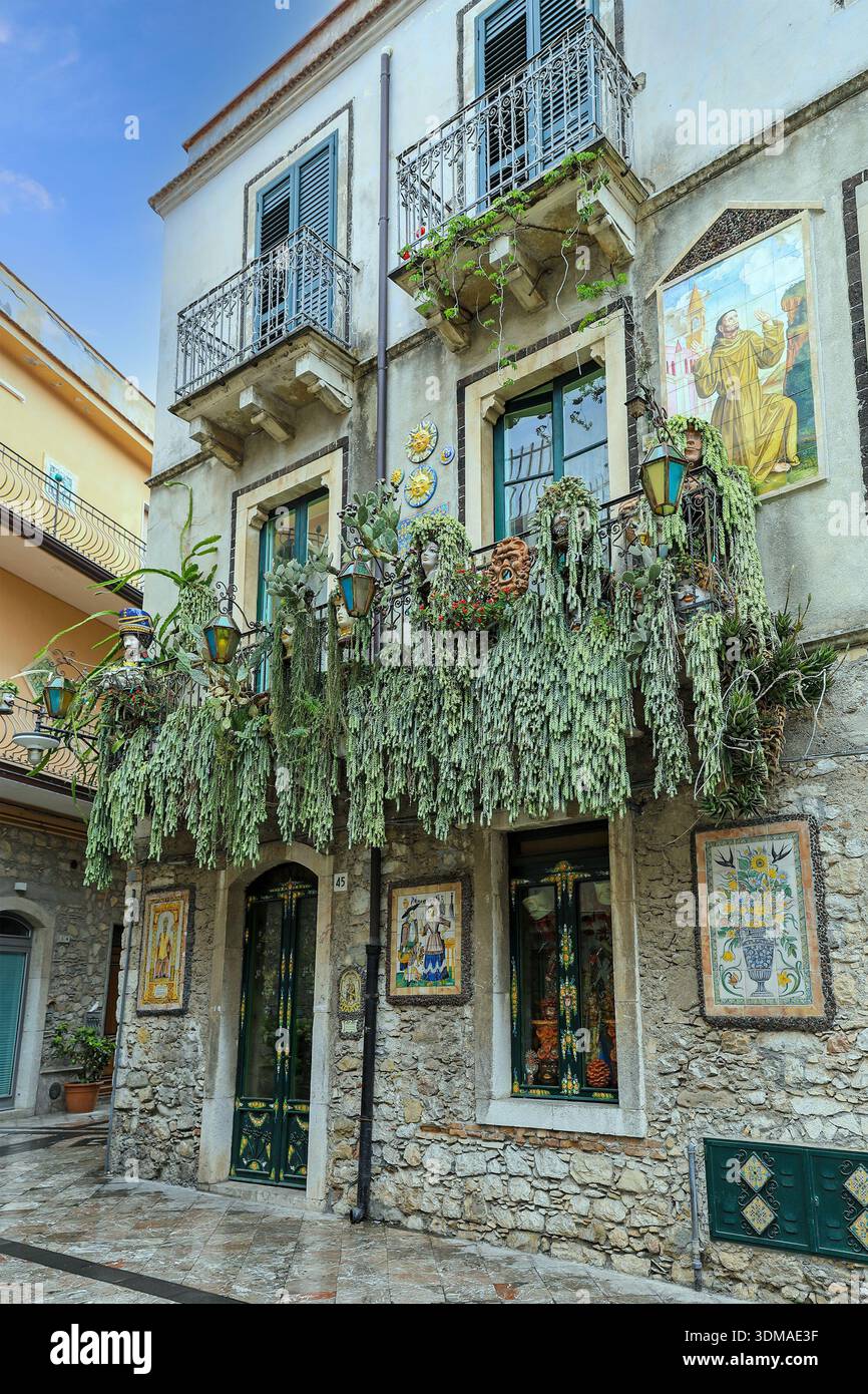 Sedum morganianum, la coda d'asino o la coda di burro, che cresce in vasi sul balcone di una casa a Taormina, Sicilia, Italia, Europa Foto Stock