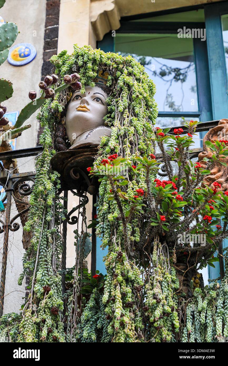 Sedum morganianum, la coda d'asino o la coda di burro, che cresce in un vaso di testa di una donna sul balcone di una casa a Taormina, Sicilia, Italia, Europa Foto Stock