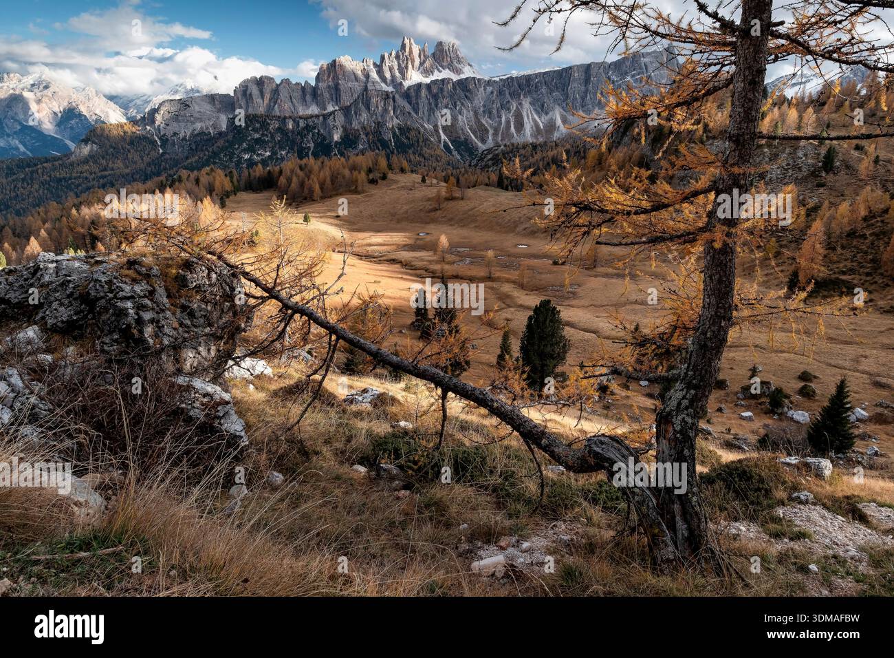 Croda da Lago e cima d'Ambrizzola incorniciate tra un albero di arco, sopra il passo di Giau in autunno, Dolomiti d'Ampezzo, Veneto, Dolomiti, Italia Foto Stock