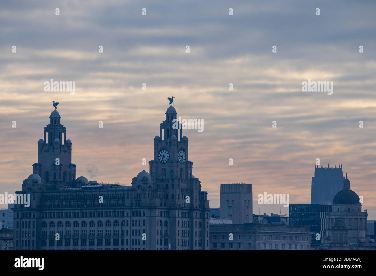 Vista del Royal Liver Building e dello skyline di Liverpool Foto Stock