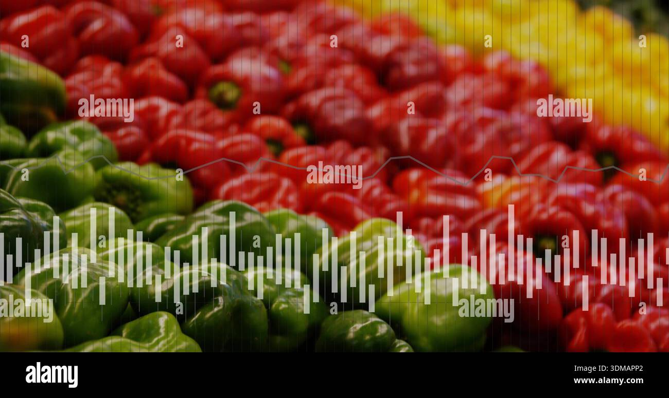 Mostrando peperoni verdi ripieni a sinistra sul mercato con peperoni rossi gialli, casse di linee di scansione della forma d'onda Foto Stock