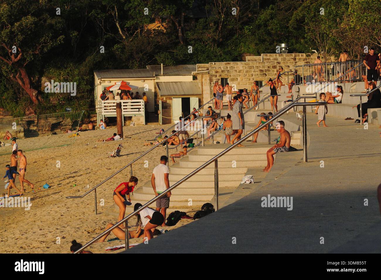 Al Nielsen Park le persone si sono riunite sulla banchina sotto la luce dorata del sole del tardo pomeriggio per godersi la vista del porto Foto Stock