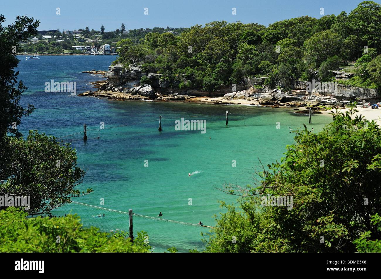 Affacciato sulle acque cristalline di Nielsen Park, una famosa spiaggia sul porto di Sydney con recinzione per nuotare Foto Stock