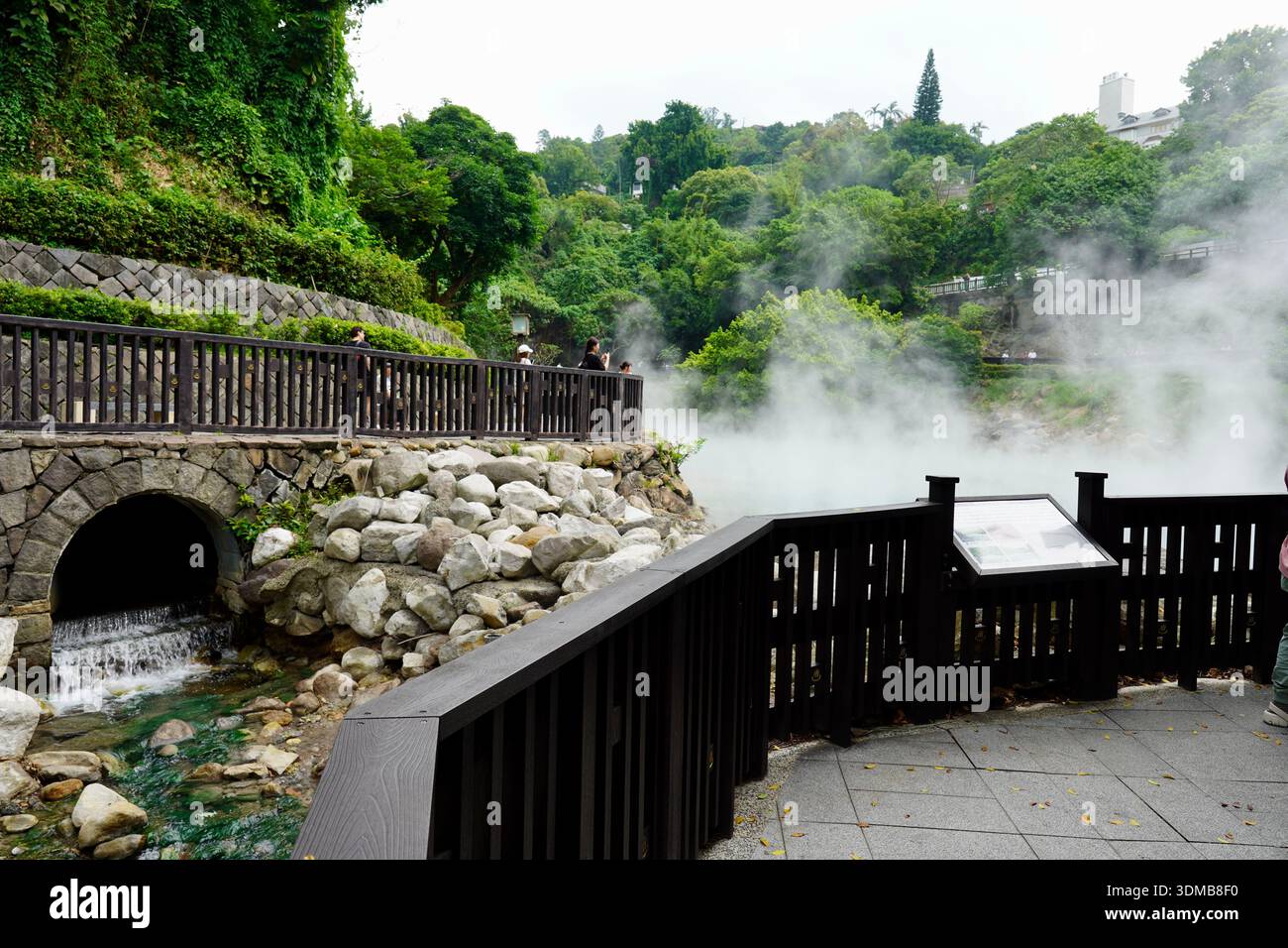 Vapore che sale dalle sorgenti termali di Beitou Foto Stock