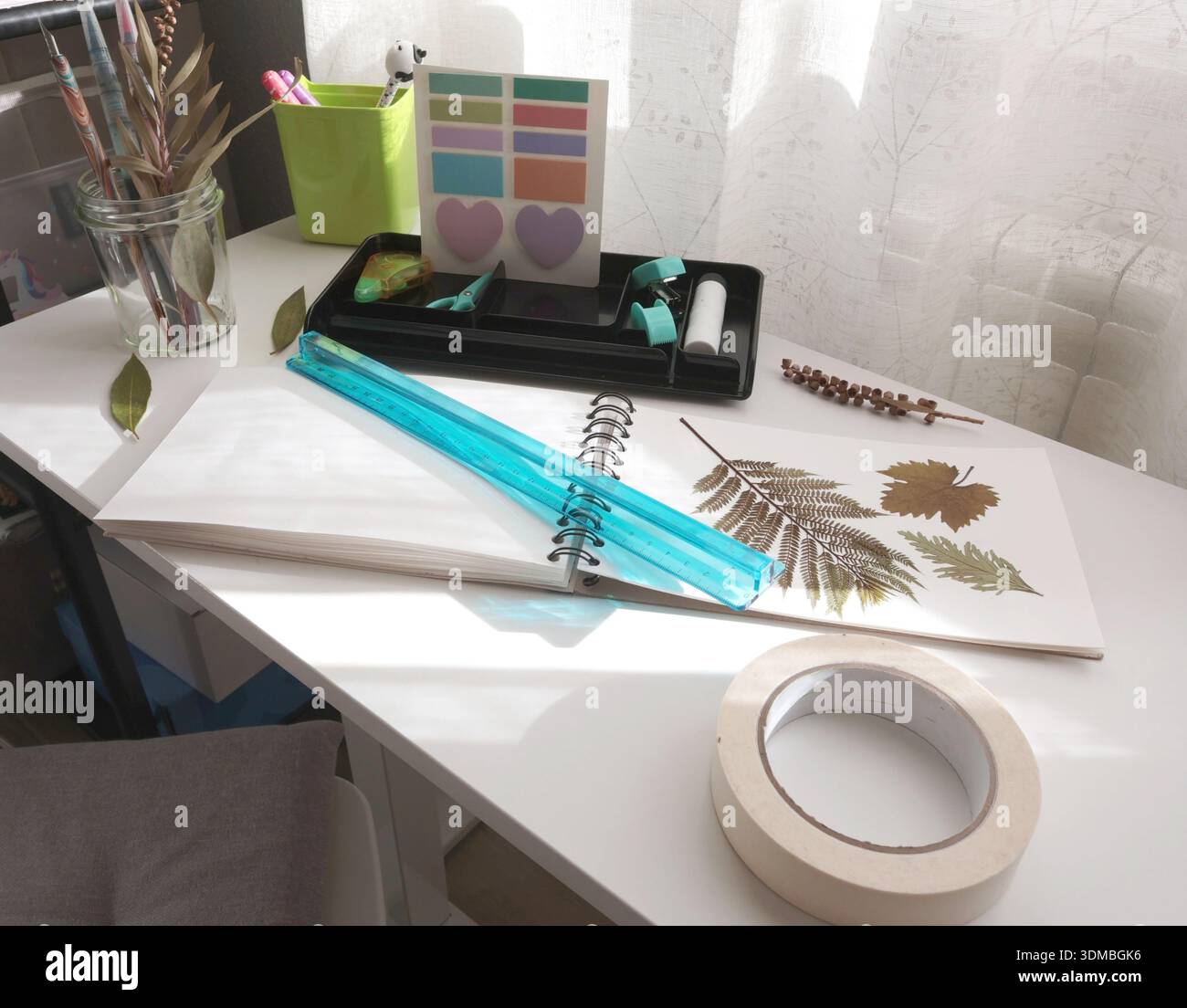 Preparazione di erbario, scrapbooking con foglie secche. Materiali naturali, hobby e creatività. Riutilizzo, ecologia. Organizzare lo spazio su un tavolo bianco. Foto Stock