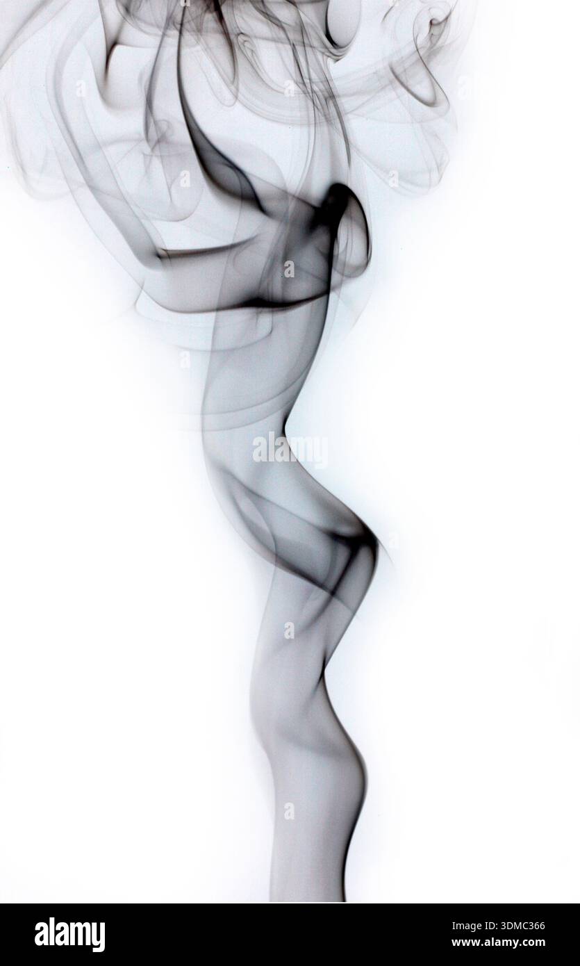Il fumo nero astratto gira su sfondo bianco Foto Stock