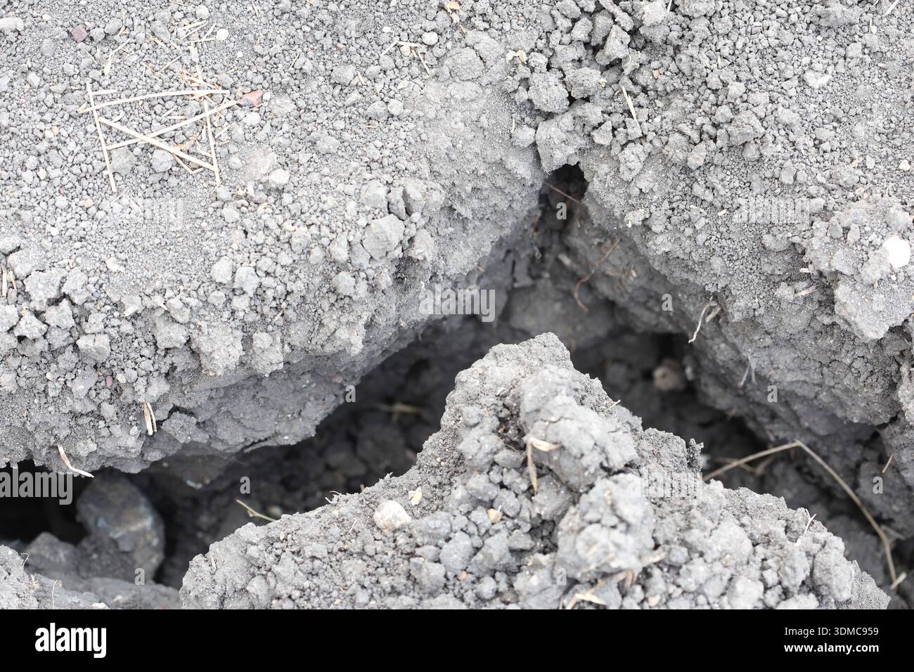 terreno incrinato a causa della grave mancanza di acqua Foto Stock