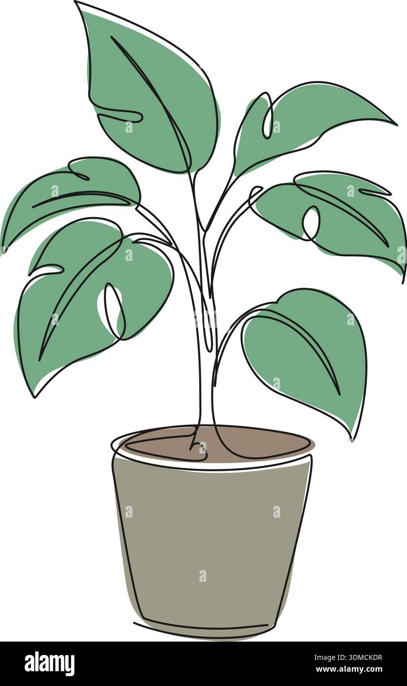disegno a linee continue colorate di piante in vaso, illustrazione vettoriale line art Illustrazione Vettoriale