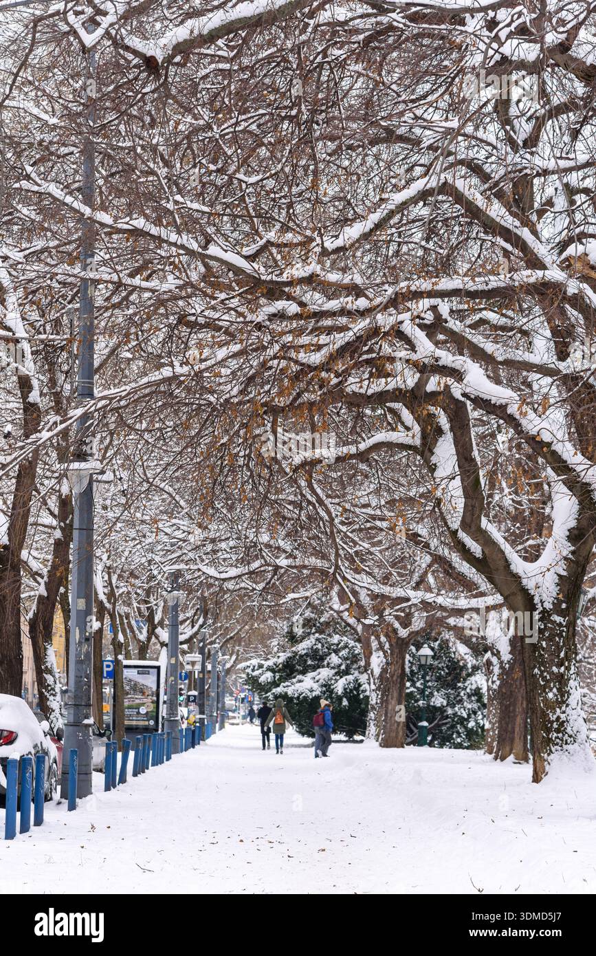 Pedoni su un marciapiede innevato con rami di alberi innevati a Budapest, Ungheria in inverno Foto Stock