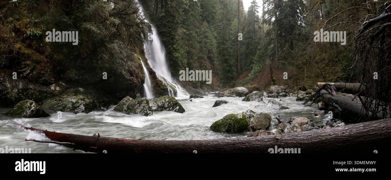 WA31022-00..... WASHINGTON - la cascata senza nome si tuffa nel fiume Boulder, nella Mount Baker Snoqualmie National Forest e nella riserva naturale del fiume Boulder Foto Stock