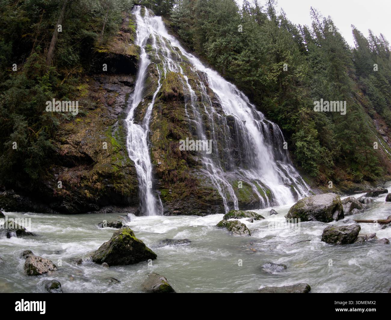 WA31023-00..... WASHINGTON - la cascata senza nome si tuffa nel fiume Boulder, nella Mount Baker Snoqualmie National Forest e nella riserva naturale del fiume Boulder. Pesce Foto Stock