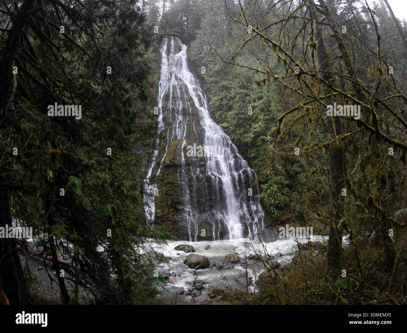 WA31024-00..... WASHINGTON - la cascata senza nome si tuffa nel fiume Boulder, nella Mount Baker Snoqualmie National Forest e nella riserva naturale del fiume Boulder. Pesce Foto Stock