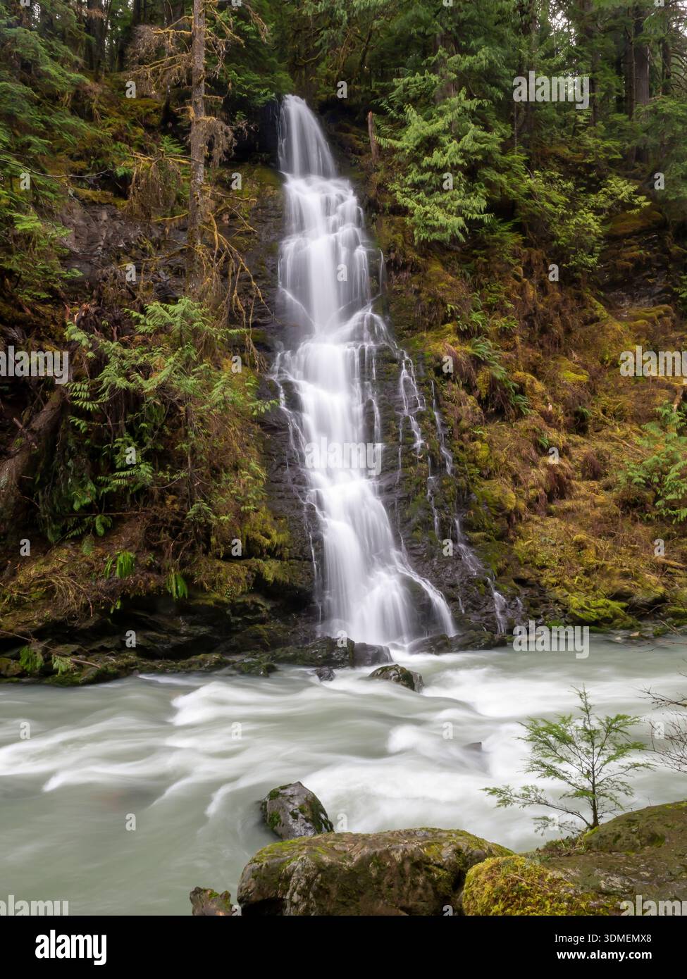 WA31025-00..... WASHINGTON - la cascata senza nome si tuffa nel fiume Boulder, nella Mount Baker Snoqualmie National Forest e nella riserva naturale del fiume Boulder. Foto Stock