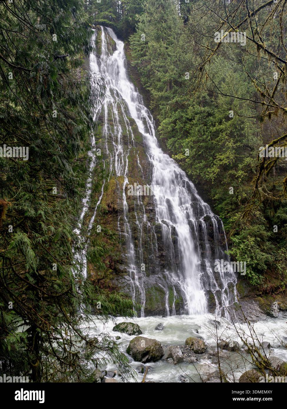 WA31032-00..... WASHINGTON - la cascata senza nome si tuffa nel fiume Boulder, nella Mount Baker Snoqualmie National Forest e nella riserva naturale del fiume Boulder. Foto Stock