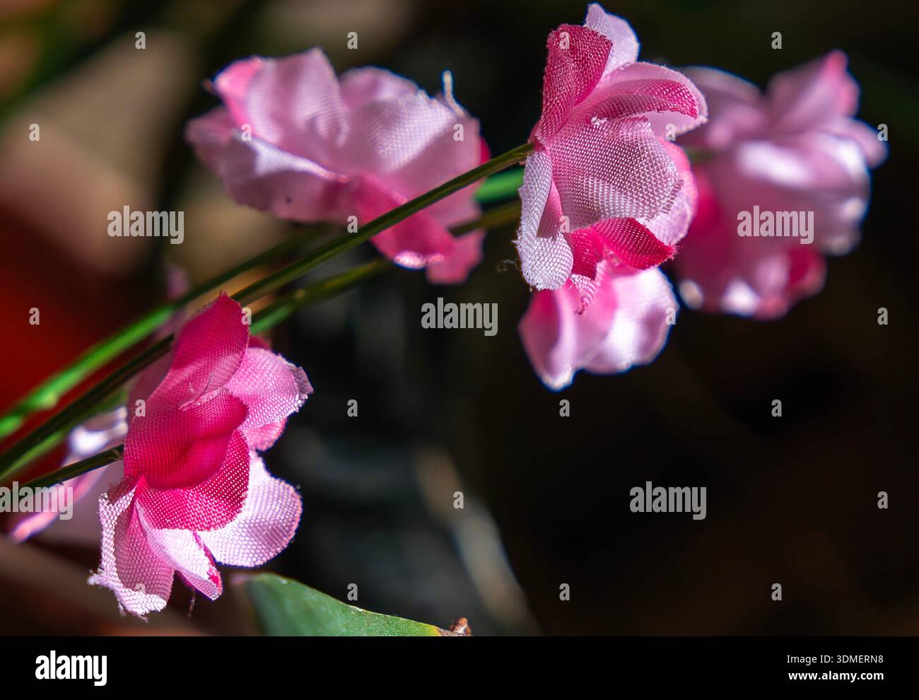 L'immagine presenta fiori artificiali rosa Foto Stock