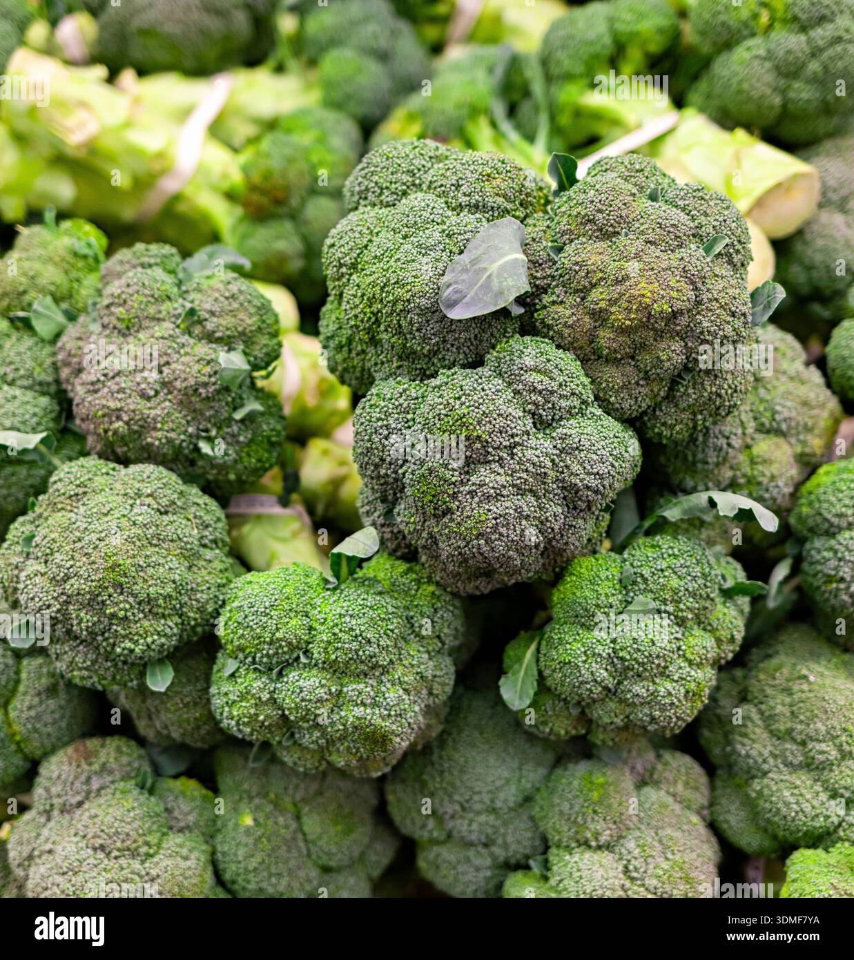Fiori di broccoli verdi freschi al supermercato Foto Stock