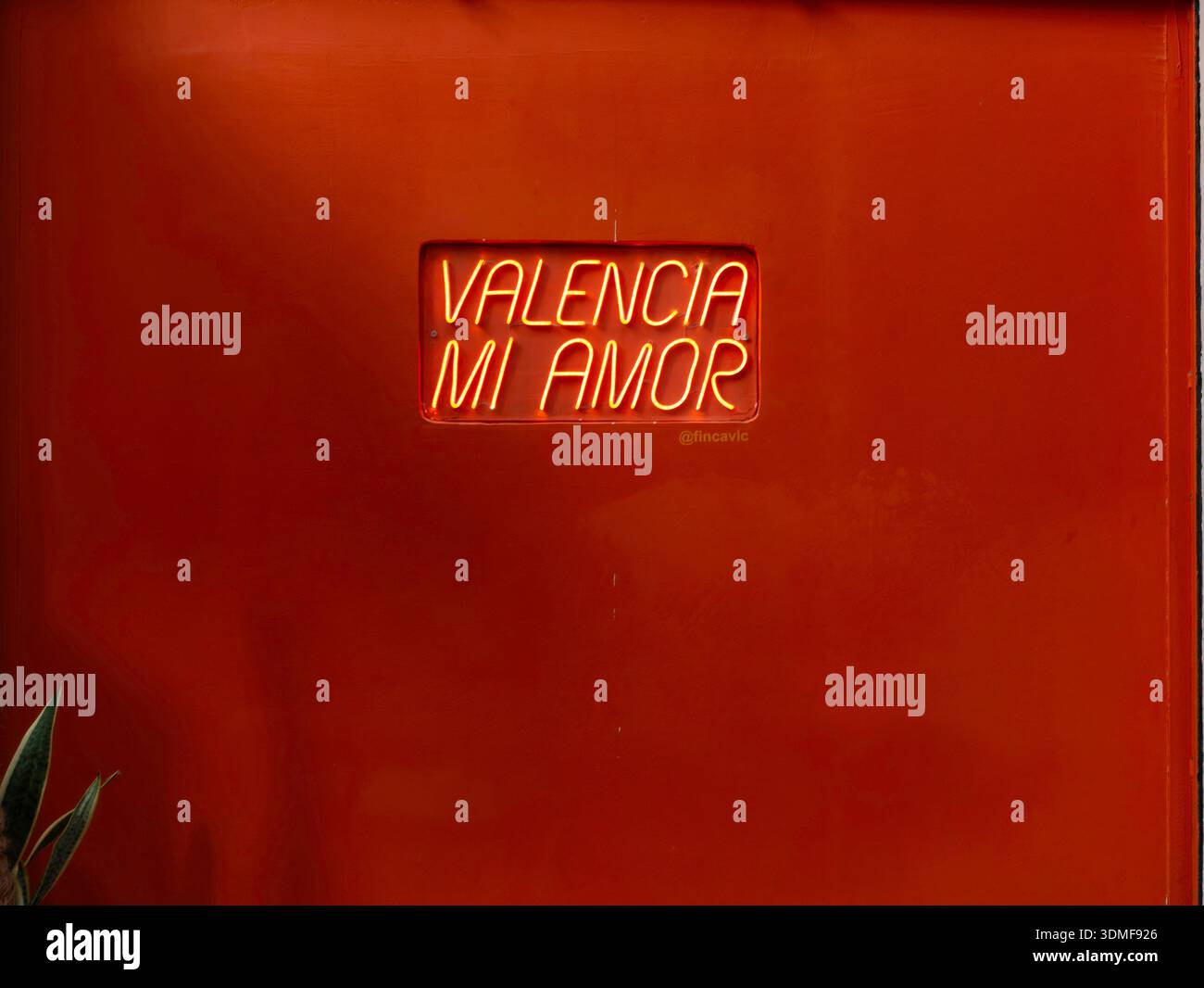 Un'insegna al neon illuminante recita "VALENCIA mi AMOR" contro una profonda parete arancione al FINCA Bar de barra, catturando lo spirito vibrante di Valencia, Spagna. Foto Stock