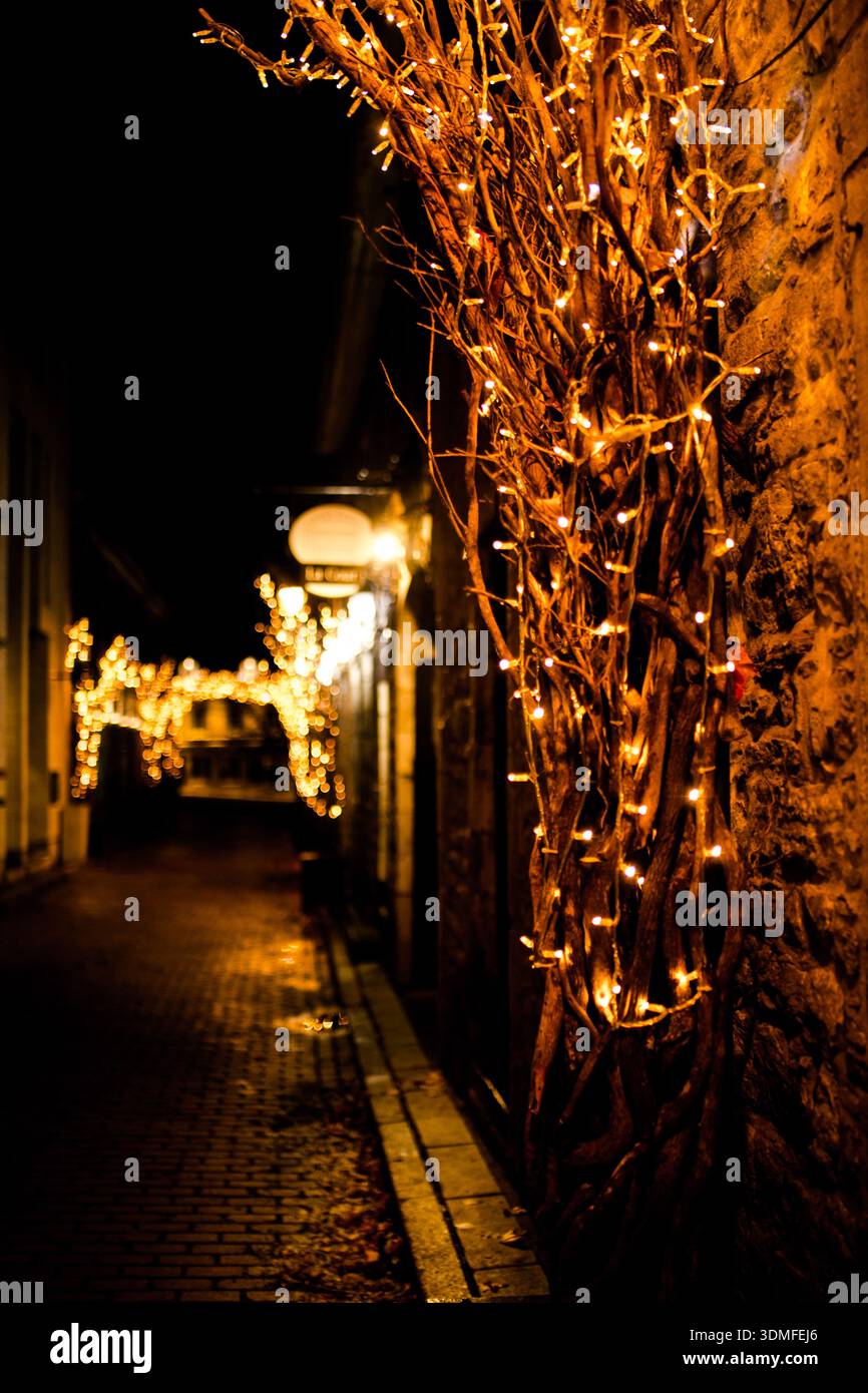 Luci calde sui rami lungo uno storico vicolo acciottolato nella Vecchia Montreal di notte. Vivace e suggestiva scena urbana a Vieux-Montréal, Canada Foto Stock