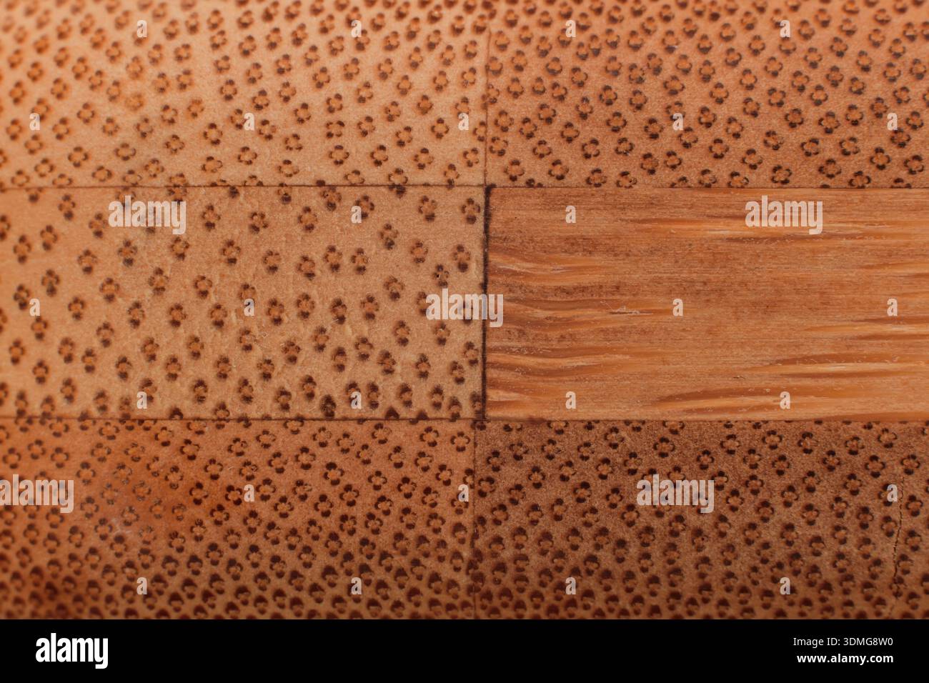 Primo piano della grana terminale del pannello di bambù Foto Stock