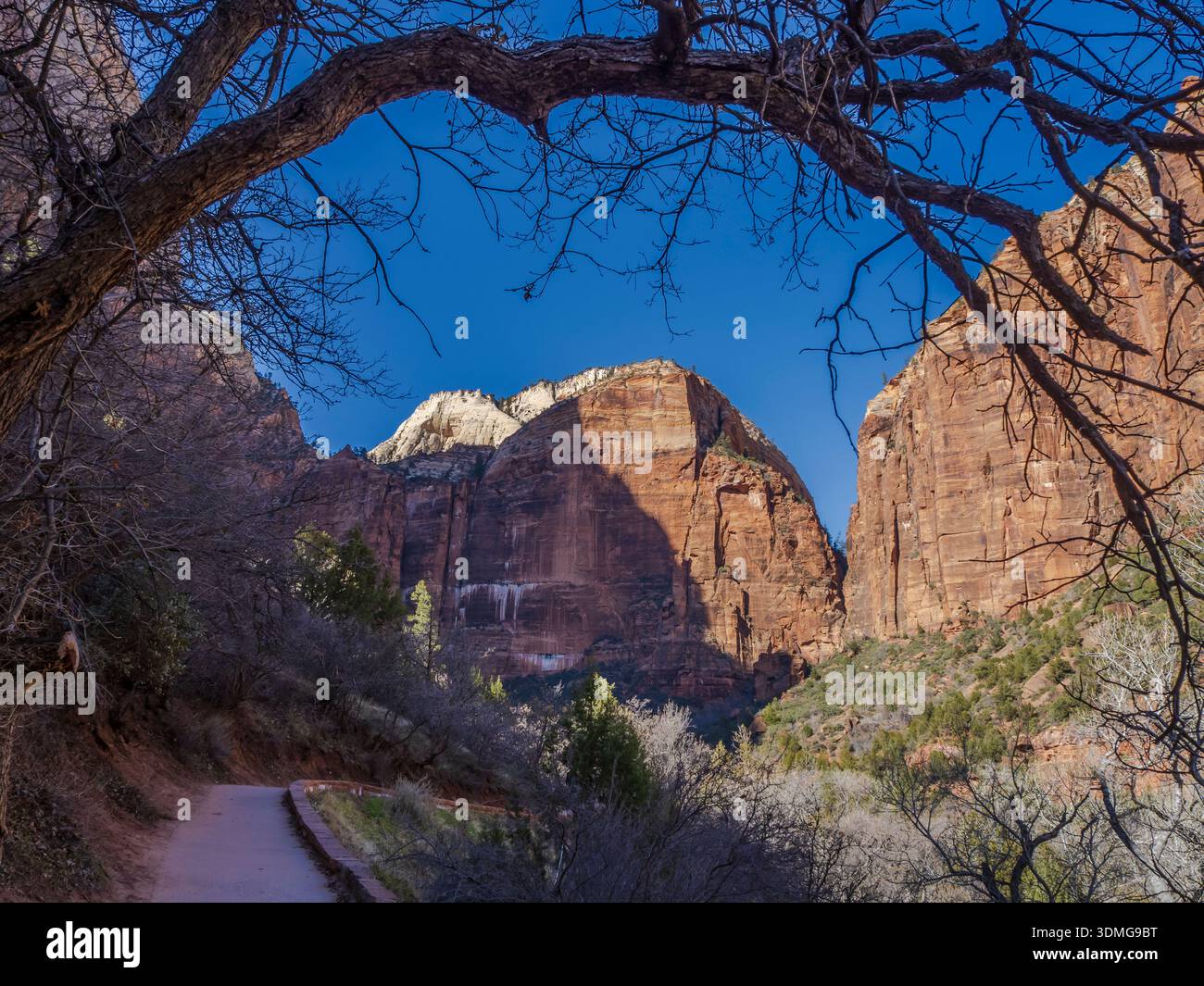 Scogliere a Zion Canyon, Emerald Pools Trail, Zion National Park, Utah. Foto Stock