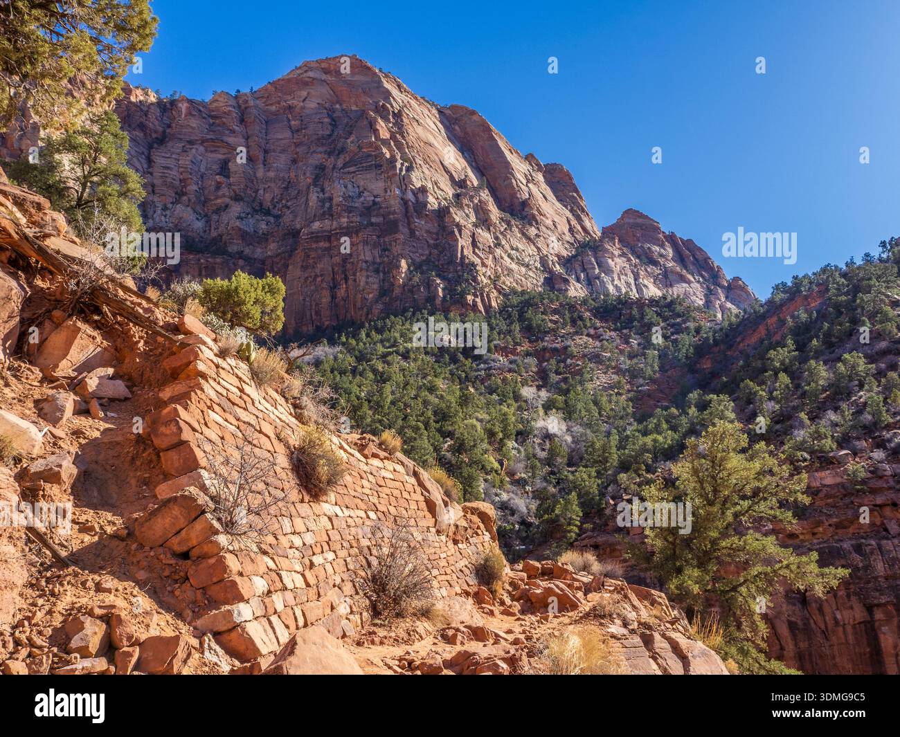 Lavori in pietra lungo il Watchman Trail, Zion National Park, Utah. Foto Stock