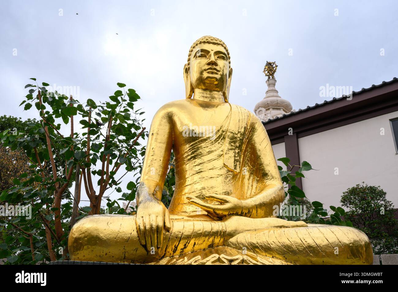 Statua del Buddha d'oro nel complesso del tempio Kawasaki Daishi Heikenji - Daishimachi, Kawasaki, Kanagawa, Giappone - 11 novembre 2025 Foto Stock