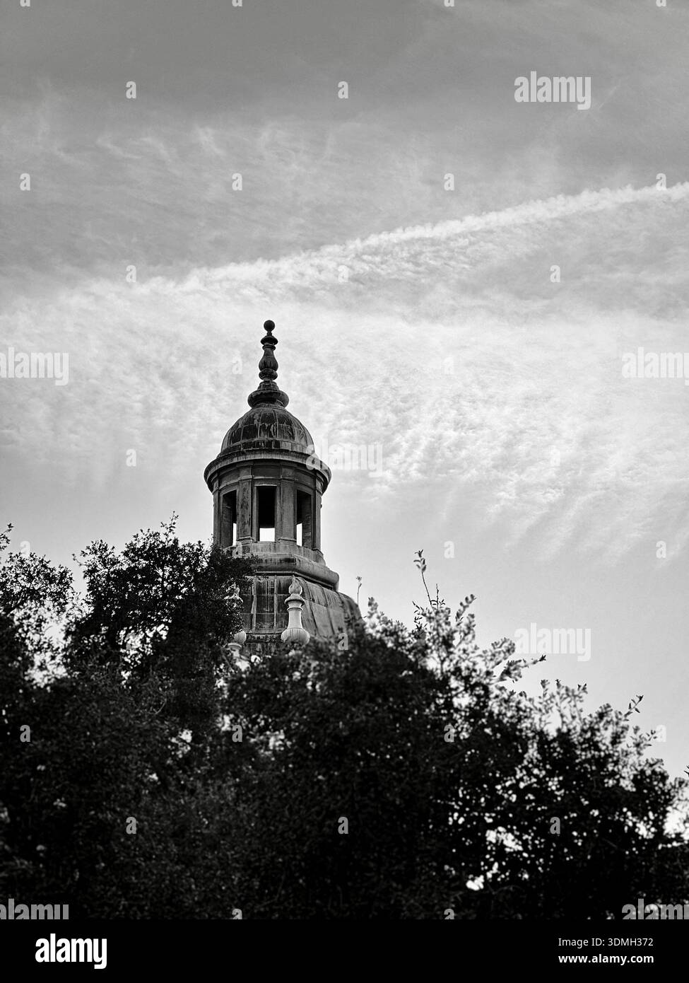Vista in bianco e nero di una storica torre a cupola parzialmente nascosta da alberi, con nuvole testurizzate e un percorso aereo diagonale che crea un ambiente tranquillo e allo stesso tempo drammatico Foto Stock