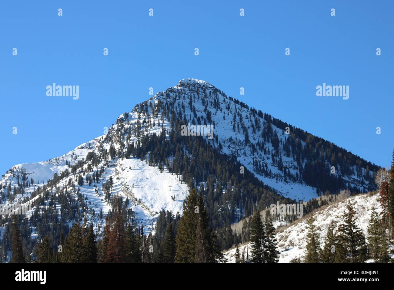 Montagna alpina innevata con foresta Evergreen Foto Stock